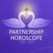 LiebesKlee - Synastry Premium Mod