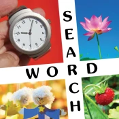 10x10 Word Search Game Cheats