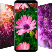 10000+ Flower Wallpapers Premium Mod