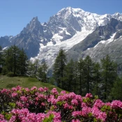 Relax Mountain Sleeping sounds No Ads Premium