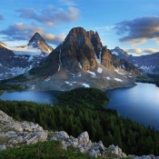 Self-development 2.0 Premium Mod