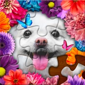 ColorPlanet Jigsaw Puzzle Cheat Codes