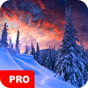 Winter Wallpapers PRO No Ads Premium