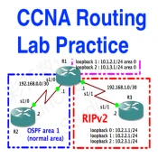 CCNA Labs Routing No Ads Premium