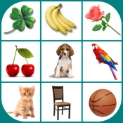 Brain game. Picture Match. Cheat Codes
