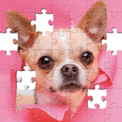 Jigsaw Puzzles Collection HD Game Cheats