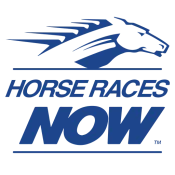 Horse Races Now No Ads Premium