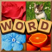 4 Pics Puzzle: Guess 1 Word Cheat Codes