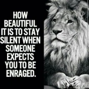 Motivational Quotes - Daily Premium Mod