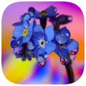 757 Word Rings Game Cheats