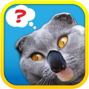 1 Pic Combo: What's the Thing? Game Cheats