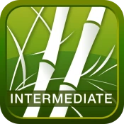 Human Japanese Int. Lite Premium Mod