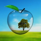 PiP camera collage maker No Ads Premium