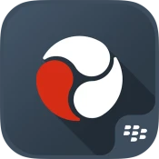 BlackBerry Workspaces Dynamics Premium Mod