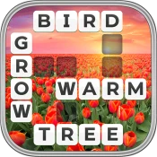 Word Wiz - Connect Words Game Game Cheats