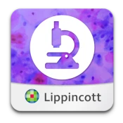 Rubin's Pathology: USMLE Q&A No Ads Premium