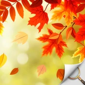 Hidden Object - Autumn Garden Cheat Codes