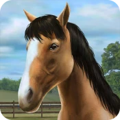 My Horse Cheat Codes