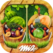 Find the Difference - Gardens Game Cheats