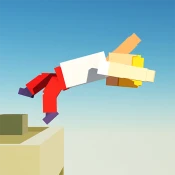 Backflipper Game Cheats