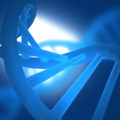 Double Helix (Gold) Premium Mod