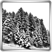 Snowfall 360° Live Wallpaper Premium Mod