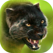 Panther Online Cheat Codes