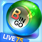 Bingo City 75: Bingo & Slots Game Cheats