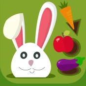 Shapes and colors for Kids Game Cheats