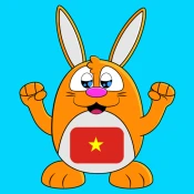 Learn Vietnamese Language No Ads Premium