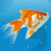 AquaLife 3D Game Cheats