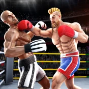 Tag Boxing Games: Punch Fight Game Cheats