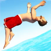 Flip Diving Cheat Codes