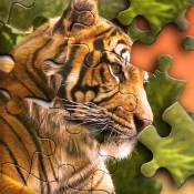 Jigsaw Puzzle Cheat Codes