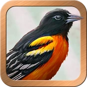 Gilded Reverie Lenormand No Ads Premium