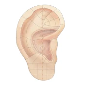 Auricular Acupuncture Microsys Premium Mod
