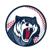 Astonishing Baseball Manager 2019 Cheat Codes