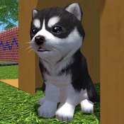 Cute Pocket Puppy 3D - Part 2 Game Cheats