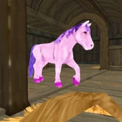 Horse Quest Cheat Codes