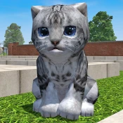 Cute Pocket Cat 3D - Part 2 Cheat Codes