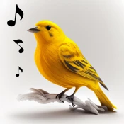 Bird Calls, Sounds & Ringtones Premium Mod