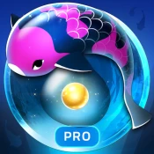 Zen Koi Pro Cheat Codes