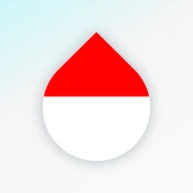 Learn Indonesian language No Ads Premium