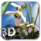 Nature Live❁ Spring Flowers XL Premium Mod