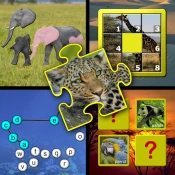 Kids animal puzzle and memory Game Cheats