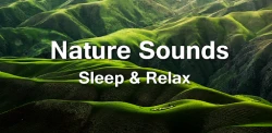 Nature Sounds for Sleep Online Redeem Gift Codes, Generators & Mods banner