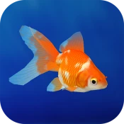 Goldfish 3D Relaxing Aquarium Game Cheats