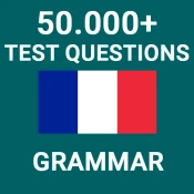 French Grammar Test No Ads Premium