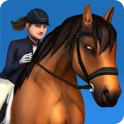 Show Jumping Premium Game Cheats