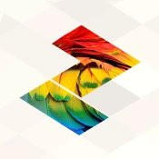 Bonza Jigsaw Game Cheats